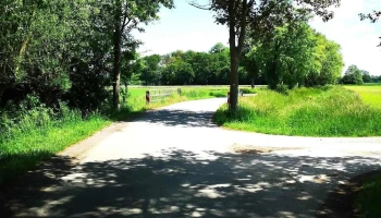 Am Wittenberg - 100-Schlösser-Route in Sendenhorst - 48324 Sendenhorst