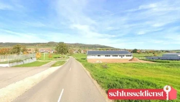 Baumschutzgitter - Deutschland