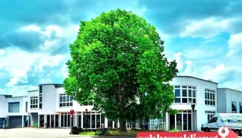 Blank Metallbau-Technik GmbH - Holzgerlingen