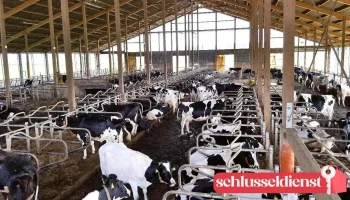 Buck Stalleinrichtungen GmbH & Co. Kg | Bremervörde - Bremervörde