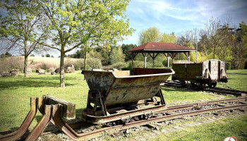 Elb-aue GmbH Plötzky - 39245 Schönebeck (Elbe)