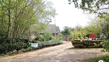 Gartenbau Schmoll - Eschede