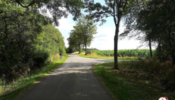 Landwehr an der 100-Schlösser-Route - Wittenberg