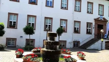 Leininger Schloss - 67583 Guntersblum