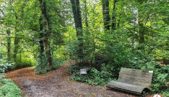 Mittelalterliche Turmhügelburg - Deutschland