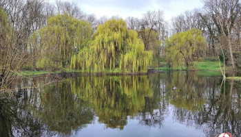 Schloßpark - Deutschland