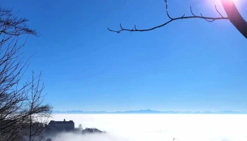 Schloss Heiligenberg - Heiligenberg
