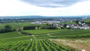 Schloss Johannisberg - 65366 Geisenheim