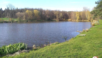 Schlosser Teich mit alter Eiche - 35260 Stadtallendorf