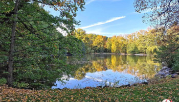 Schlosspark Rosenau - 1
