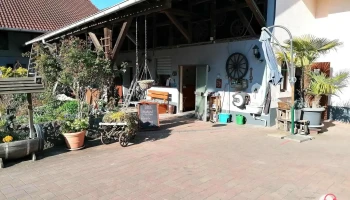 Spargelhof Schlösser-Treiber GbR - 64683 Einhausen