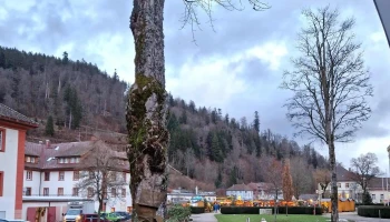 Stadt St. Blasien - St. Blasien