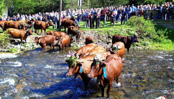 Tourist-Information Wildemann - Wildemann