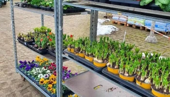 Uschi's Gartencenter - Zarrentin Am Schaalsee
