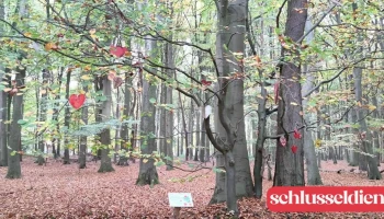  Weißenberger Liebesbaum 