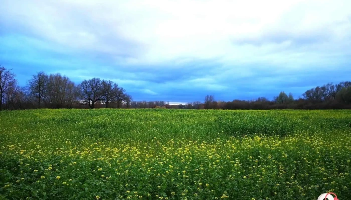 Am Schörmelgraben 100-Schlösser-Route in Sendenhorst - Deutschland