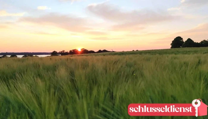 Aussichtsbank Leezen Zum Gedenken An Burgermeister Gerhard Forster Videos - Leezen