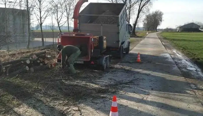 BAUM.holz GmbH - Maselheim
