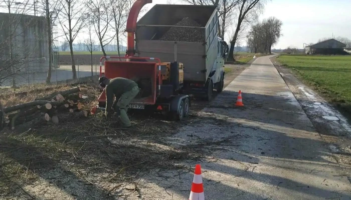 Baumholz Gmbh Alle - Maselheim