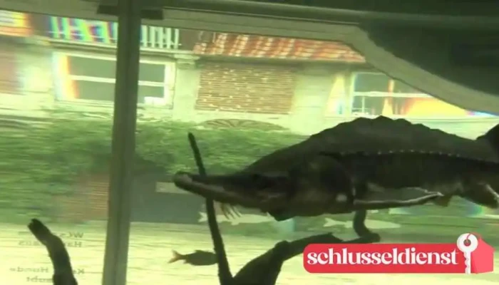 Biosphaerium Elbtalaue Gmbh Vom Inhaber - Bleckede