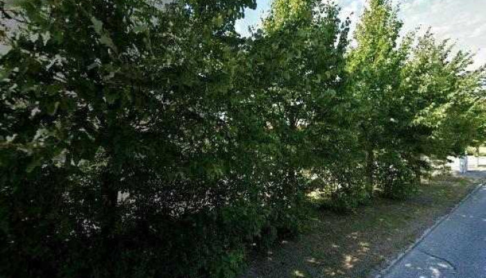 Brinkhoff Grotrian Alle - Wustrow