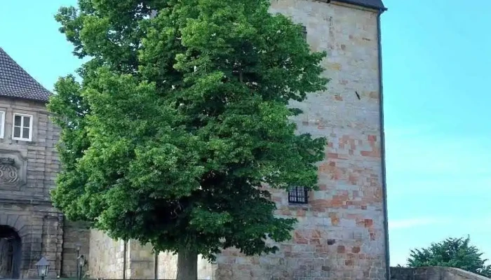 Burg Bentheim -  Neueste - Bad Bentheim