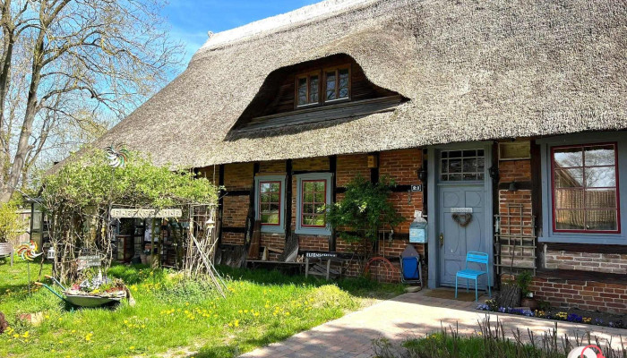 Die Elfenschule -  Alle - Zarrentin Am Schaalsee