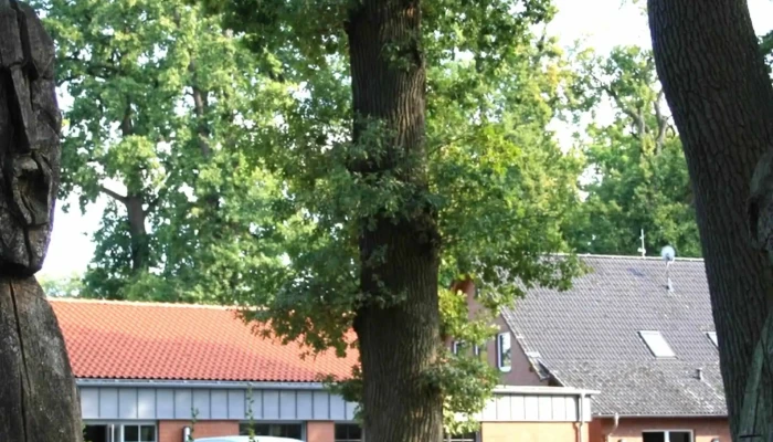 Die Geschworenen -  Beedenbostel - Beedenbostel