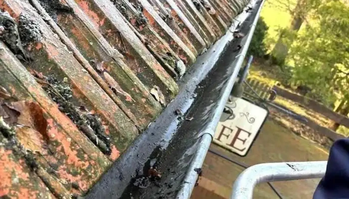 Dienstleistungen Wiese - Menslage