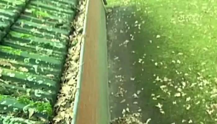Dienstleistungen Wiese -  Videos - Menslage