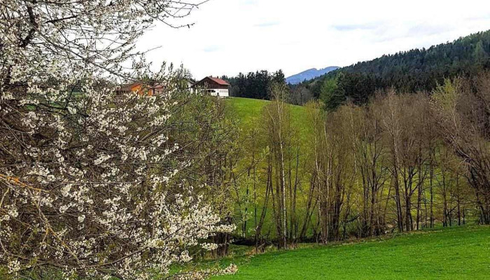 Erwin Bucher Schlosserei, Maschinenbau - 94354 Haselbach