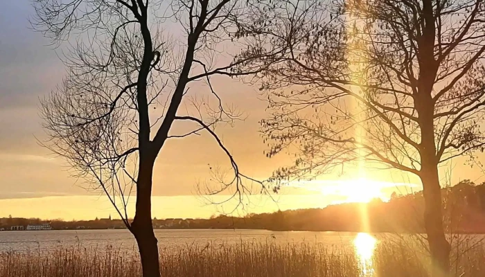 Fritz -   Reuter  Gedenkstein Instagram - Krakow Am See