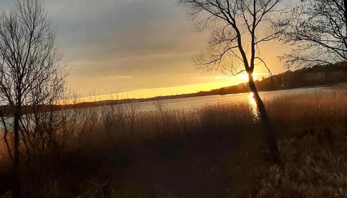 Fritz -   Reuter  Gedenkstein Rabatte - Krakow Am See