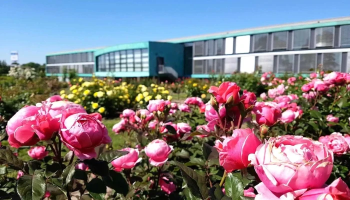Gartenbauzentrum Schleswig -  Holstein Alle - Ellerhoop