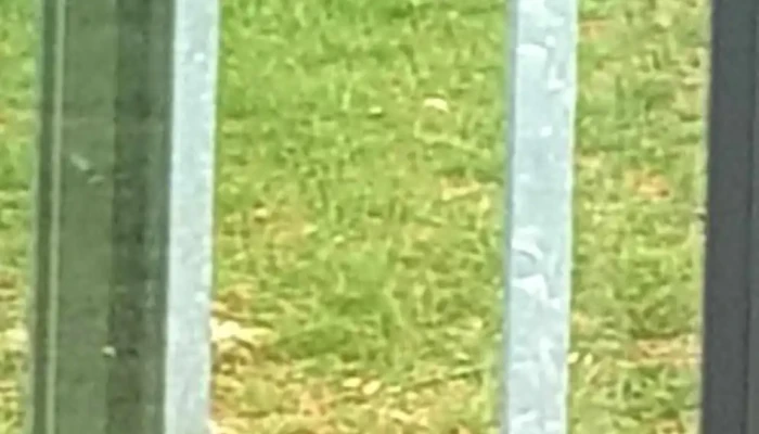 Geier Metallbaumeister Metallbau - 34225 Baunatal