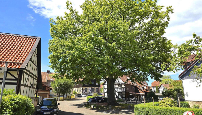 Gemeinde Walkenried -  Neueste - Walkenried