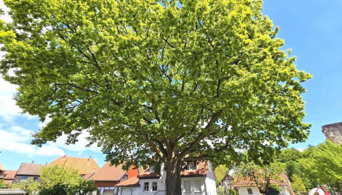 Gemeinde Walkenried - Walkenried