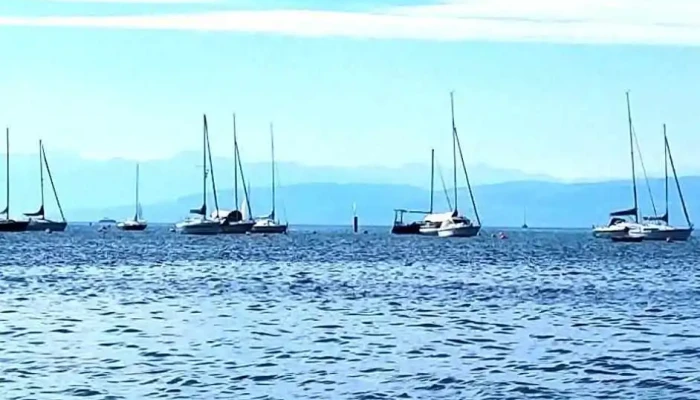 Hafen Hagnau Bodensee Alle - Hagnau Am Bodensee