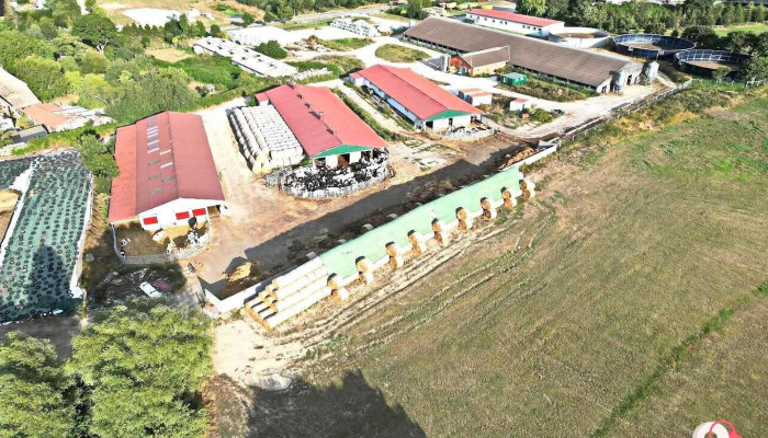 Hanstorfer Landbau GmbH - Satow
