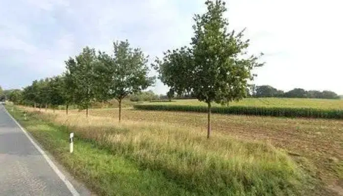 Hanstorfer Landbau Gmbh Street View 360deg Fotos - Satow