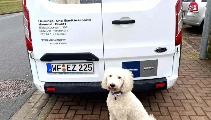 Heizungs -   Und Sanitartechnik Haverlah Gmbh Vom Inhaber - Haverlah