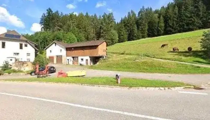 Hermann Demattio Und Sohn -  Street View 360deg Fotos - Vöhrenbach