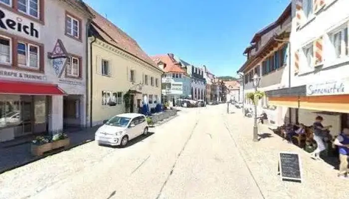 Hermann Ringwald -  Alle - Elzach
