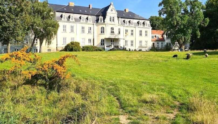 Herrenhaus Groß Miltzow - Groß Miltzow