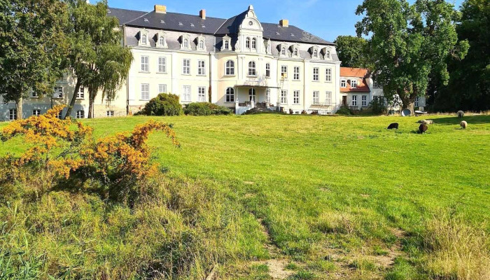 Herrenhaus Gross Miltzow Alle - Groß Miltzow