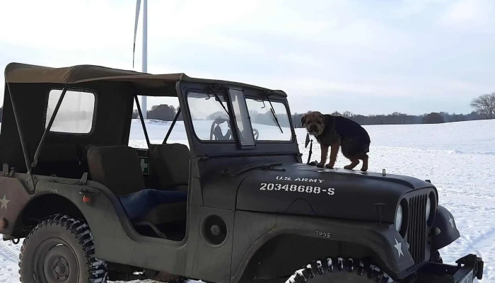 Kfz Service Schönwalde GmbH - Schönwalde Am Bungsberg