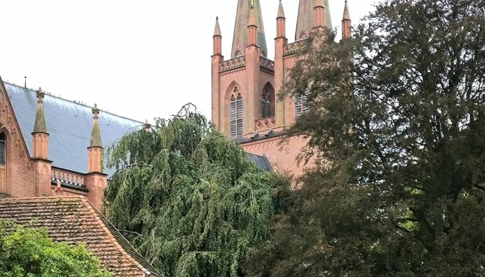 Klosterkirche Dobbertin -  Nummer - Goldberg