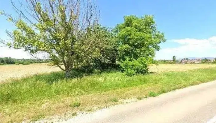 Kuhner Metallbau -  Street View 360deg Fotos - Schallstadt