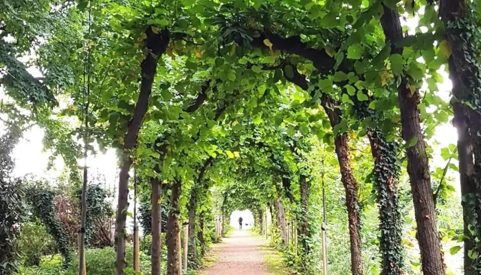 Laubengänge Schloss Bedburg - Deutschland