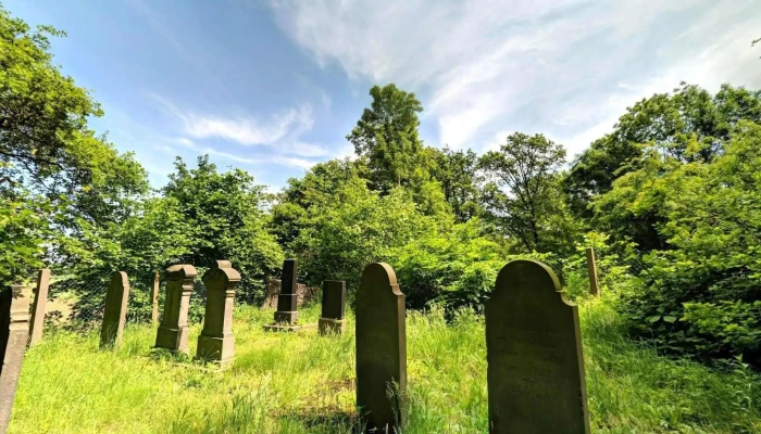 Leese -  Street View 360deg Fotos - Leese
